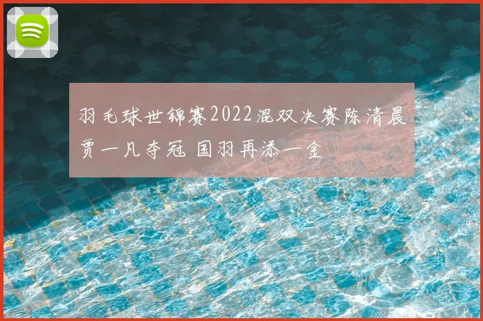 羽毛球世锦赛2022混双决赛陈清晨贾一凡夺冠 国羽再添一金