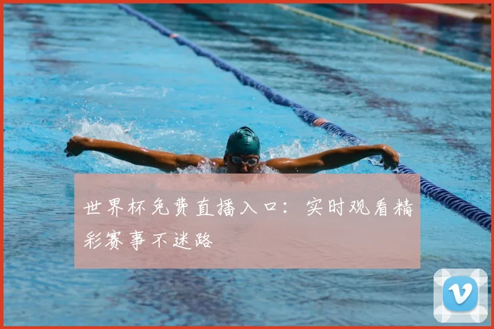 世界杯免费直播入口：实时观看精彩赛事不迷路