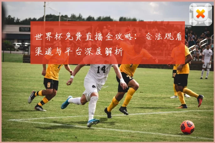 世界杯免费直播全攻略:合法观看渠道与平台深度解析