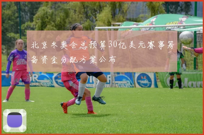 北京冬奥会总预算30亿美元赛事筹备资金分配方案公布